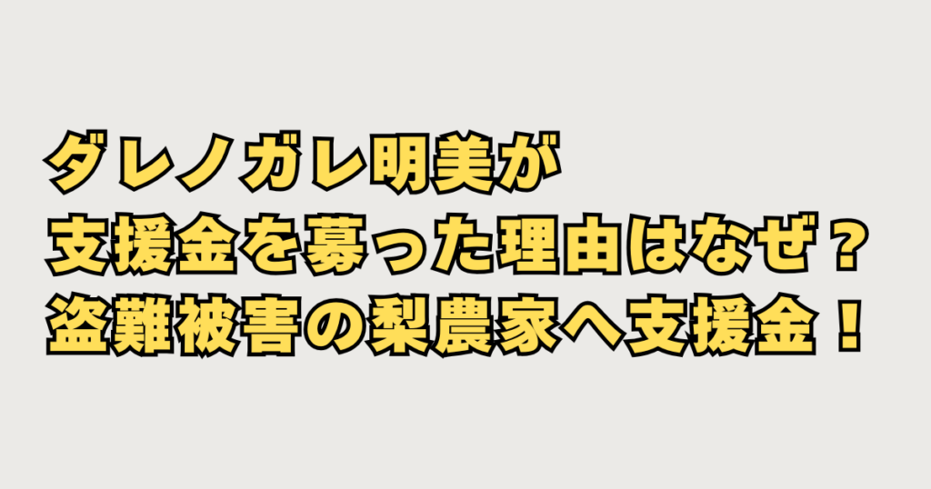ダレノガレ明美寄付画像
